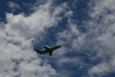 DSC_6259 (Large).JPG